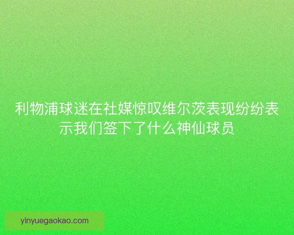 利物浦球迷在社媒惊叹维尔茨表现纷纷表示我们签下了什么神仙球员