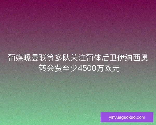 葡媒曝曼联等多队关注葡体后卫伊纳西奥 转会费至少4500万欧元