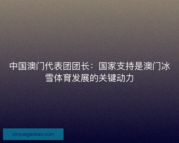中国澳门代表团团长：国家支持是澳门冰雪体育发展的关键动力